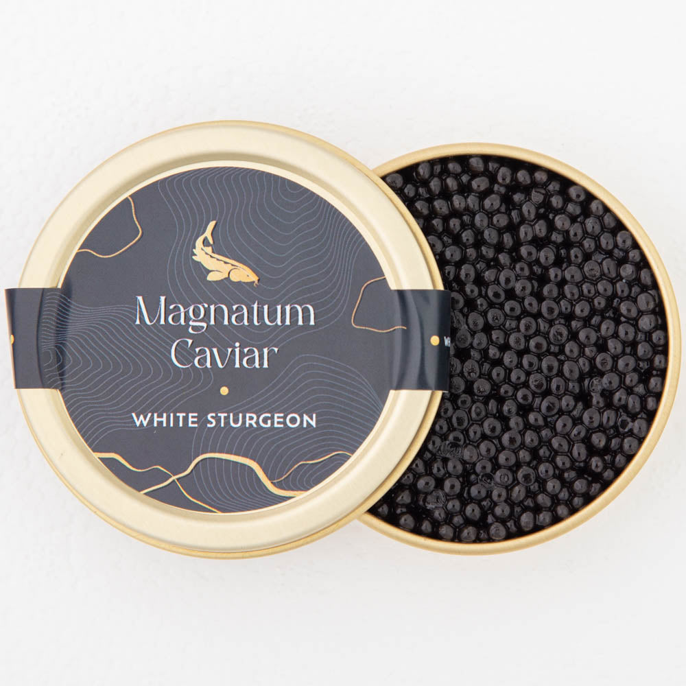 White Sturgeon – Magnatum